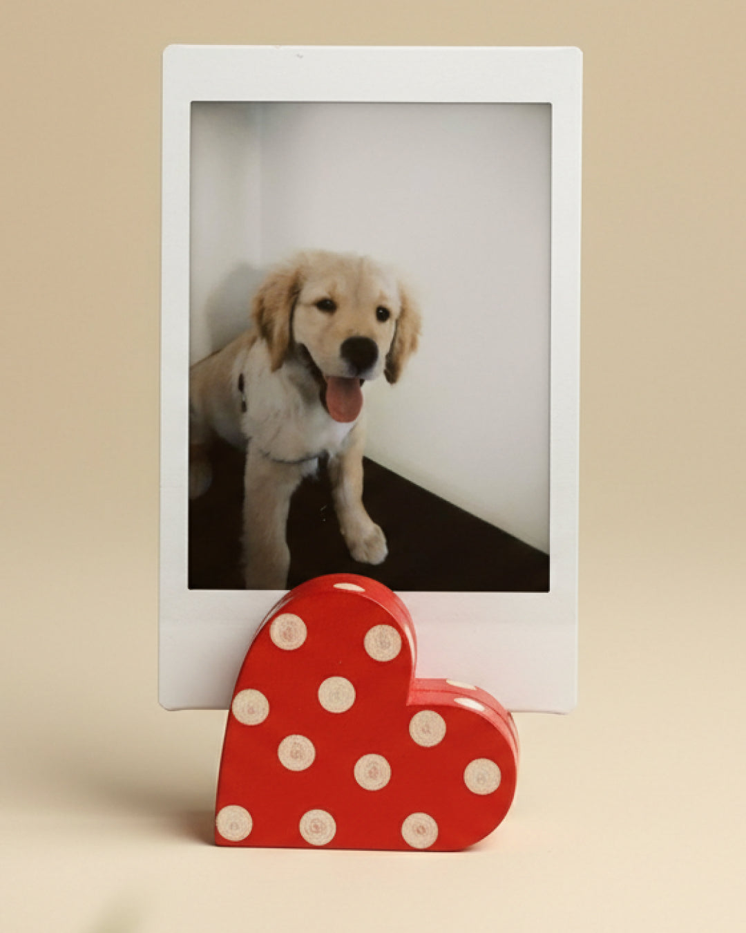 Photo Card Holder