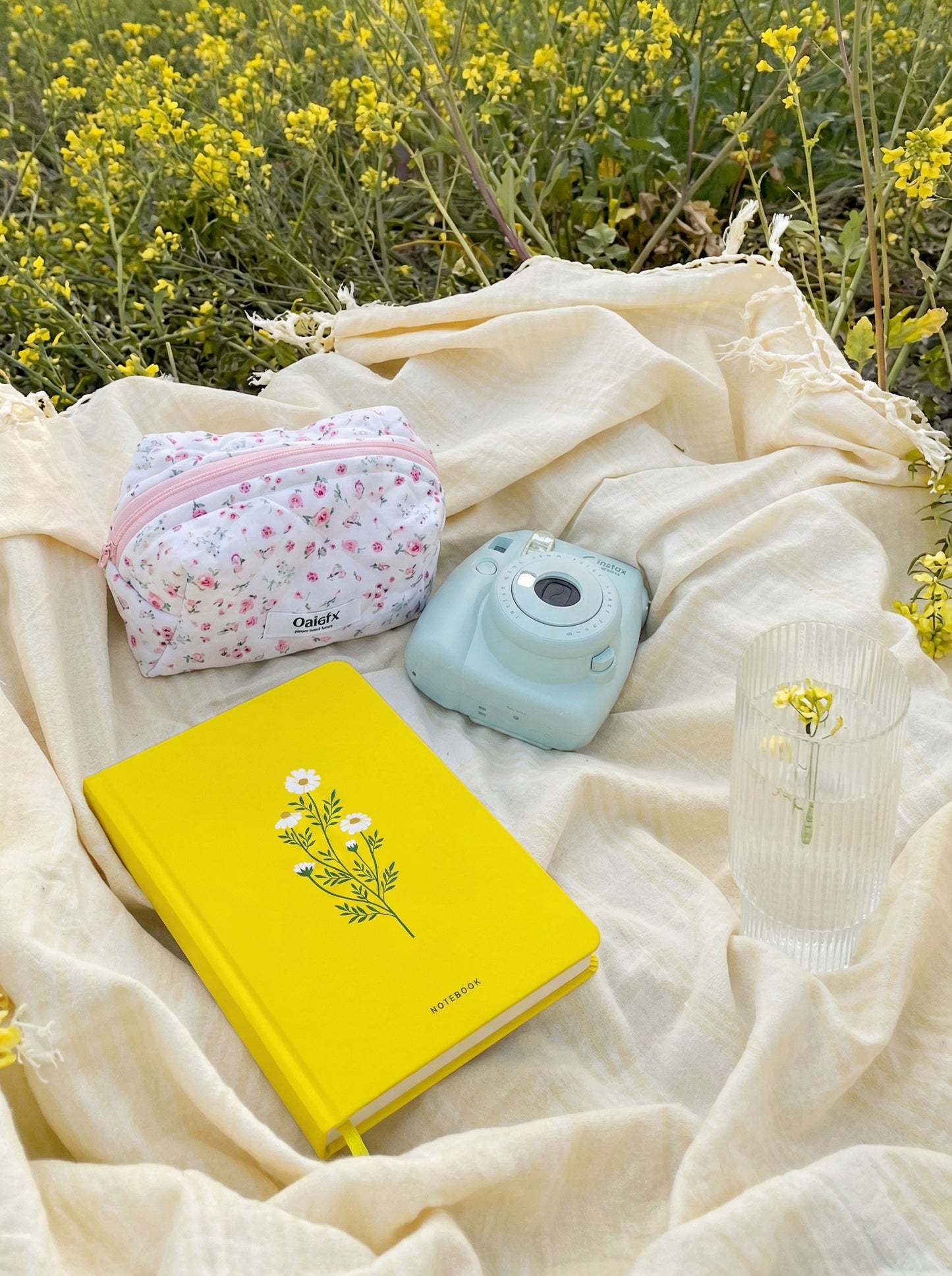 Daisy Days  (Softcover)